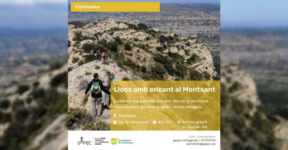 Caminada: Llocs amb encant al Montsant