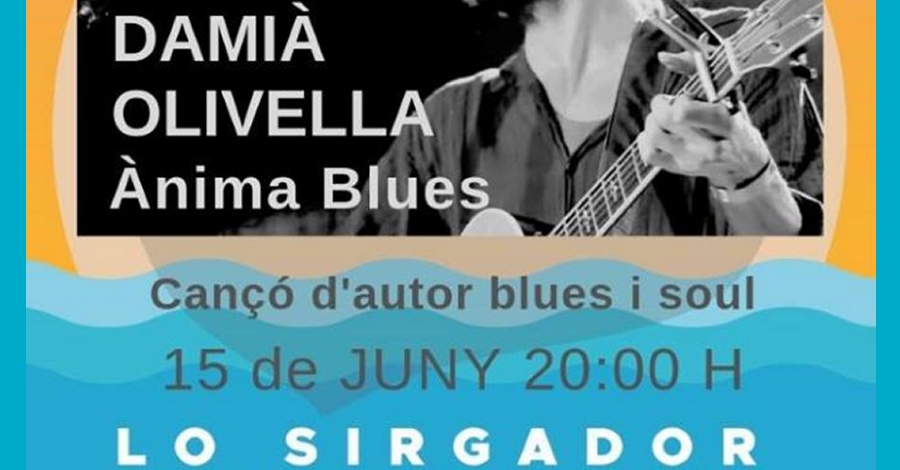 Cicle musical de concerts acstics navegant pel riu Ebre. Dami Olivella. nima Blues