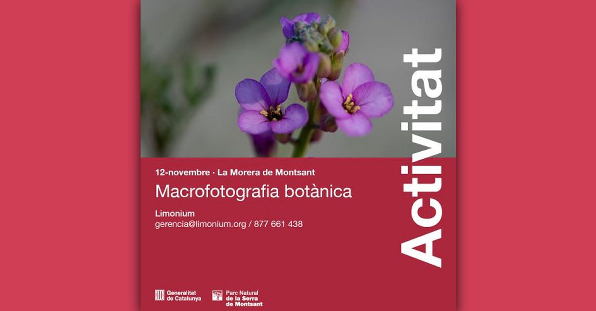 Macrofotografia botnica. Introducci a la fotografia de plantes singulars al Parc Natural de Montsant