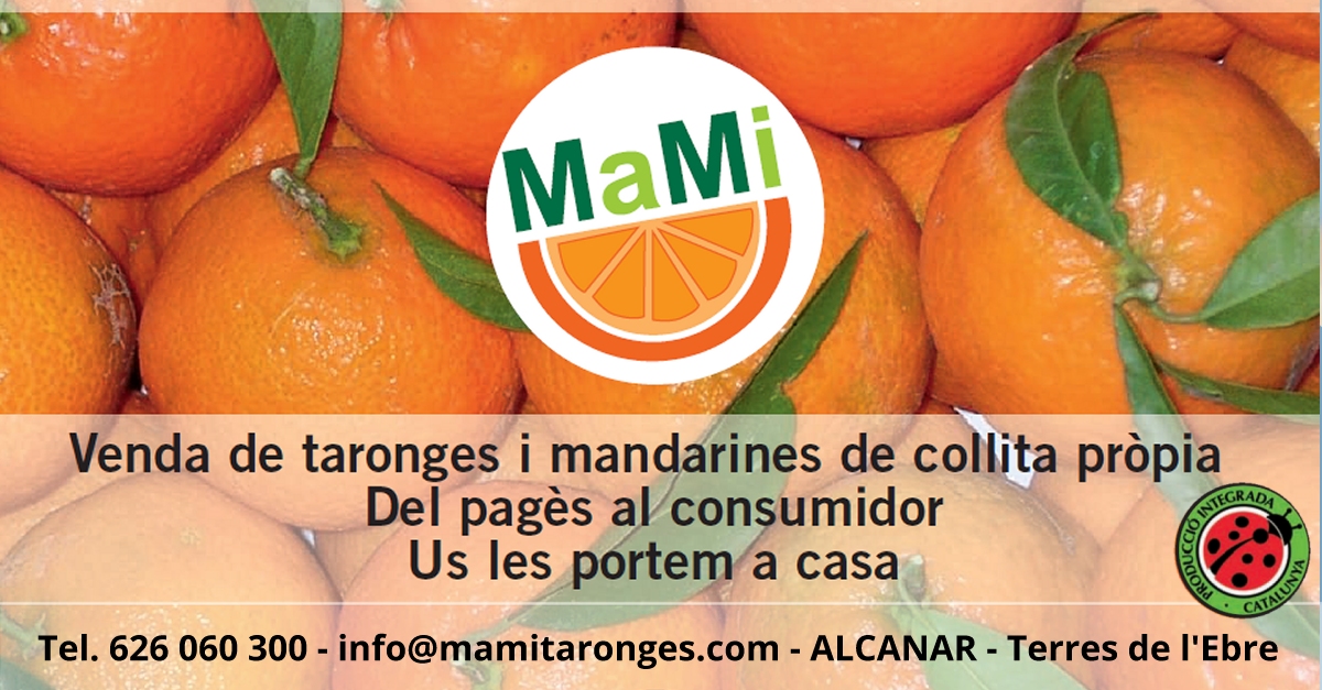 El Programa de fruita a les escoles lliura una bossa de clementines de les Terres de l’Ebre a les famlies dels infants que hi participen | EbreActiu.cat, revista digital d’oci actiu | Terres de l’Ebre ...