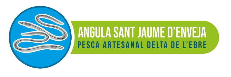 Es presenta la Cooperativa de Pescadors Professionals d’Angula de Sant Jaume | EbreActiu.cat, revista digital d’oci actiu | Terres de l’Ebre ...