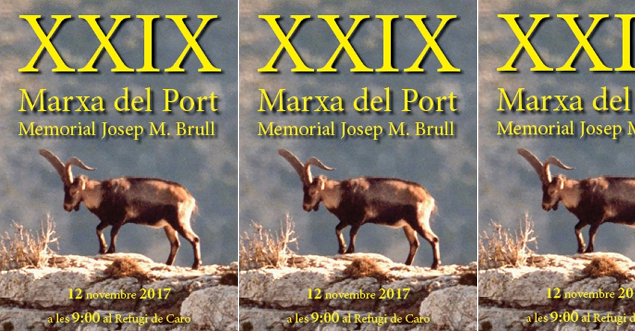 XXIX Marxa del Port. Memorial Josep M. Brull