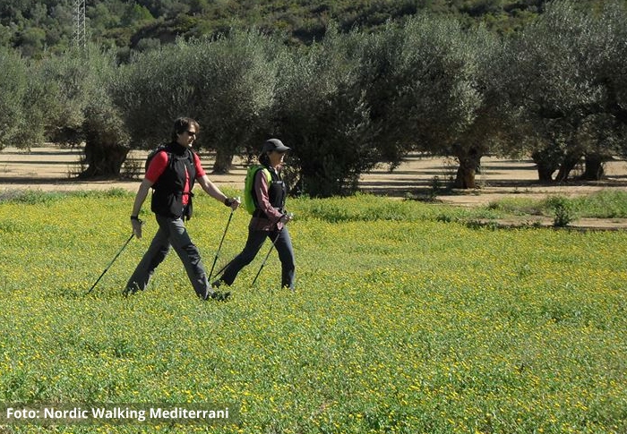 Els beneficis de la marxa nrdica | EbreActiu.cat, revista digital d’oci actiu | Terres de l’Ebre ...