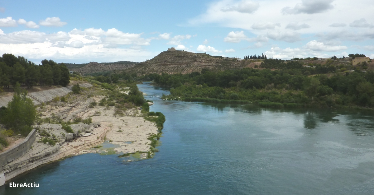 La Marxa pels Sediments reclama "un canvi de gesti" de les preses per garantir-ne la seguretat i preservar el Delta | EbreActiu.cat, revista digital d’oci actiu | Terres de l’Ebre ...