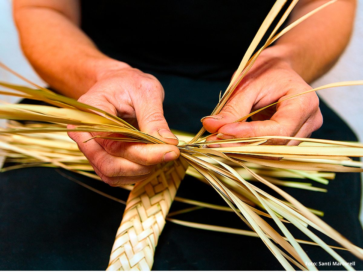 Mas de Barberans, el poble de la pauma | EbreActiu.cat, revista digital d’oci actiu | Terres de l’Ebre ...