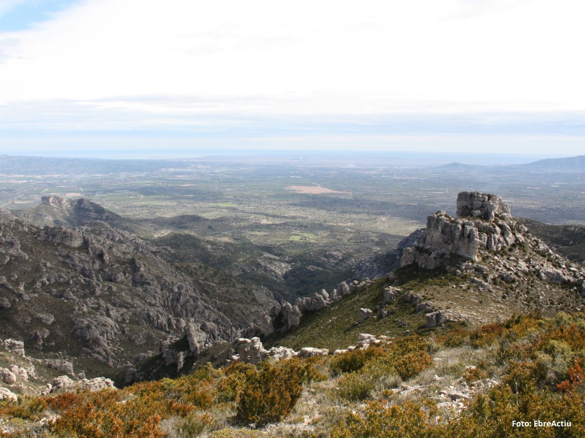 Mas de Barberans, el poble de la pauma | EbreActiu.cat, revista digital d’oci actiu | Terres de l’Ebre ...