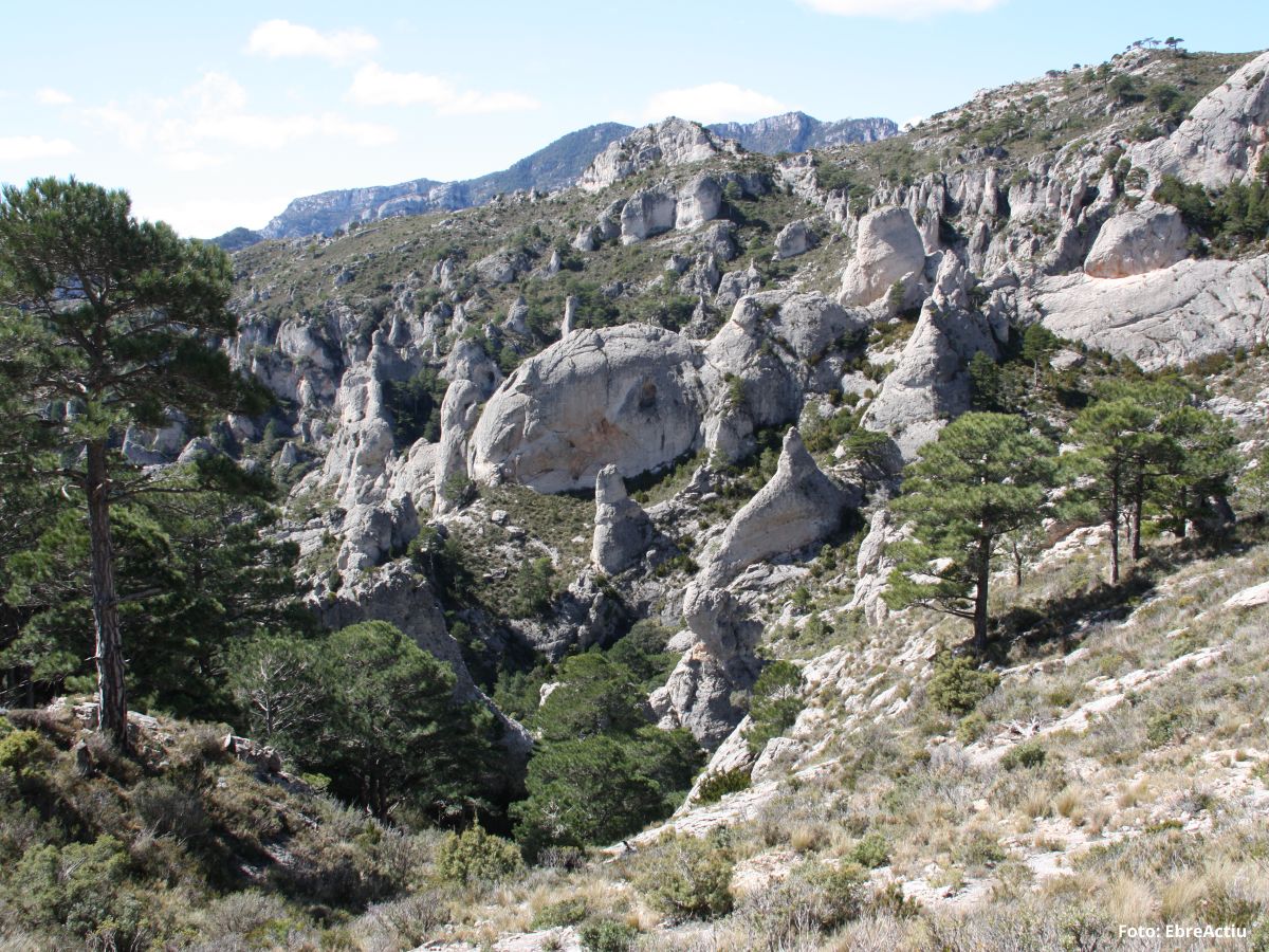 Mas de Barberans, el poble de la pauma | EbreActiu.cat, revista digital d’oci actiu | Terres de l’Ebre ...