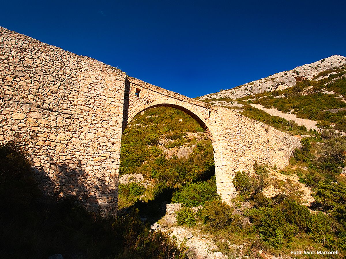 Mas de Barberans, el poble de la pauma | EbreActiu.cat, revista digital d’oci actiu | Terres de l’Ebre ...