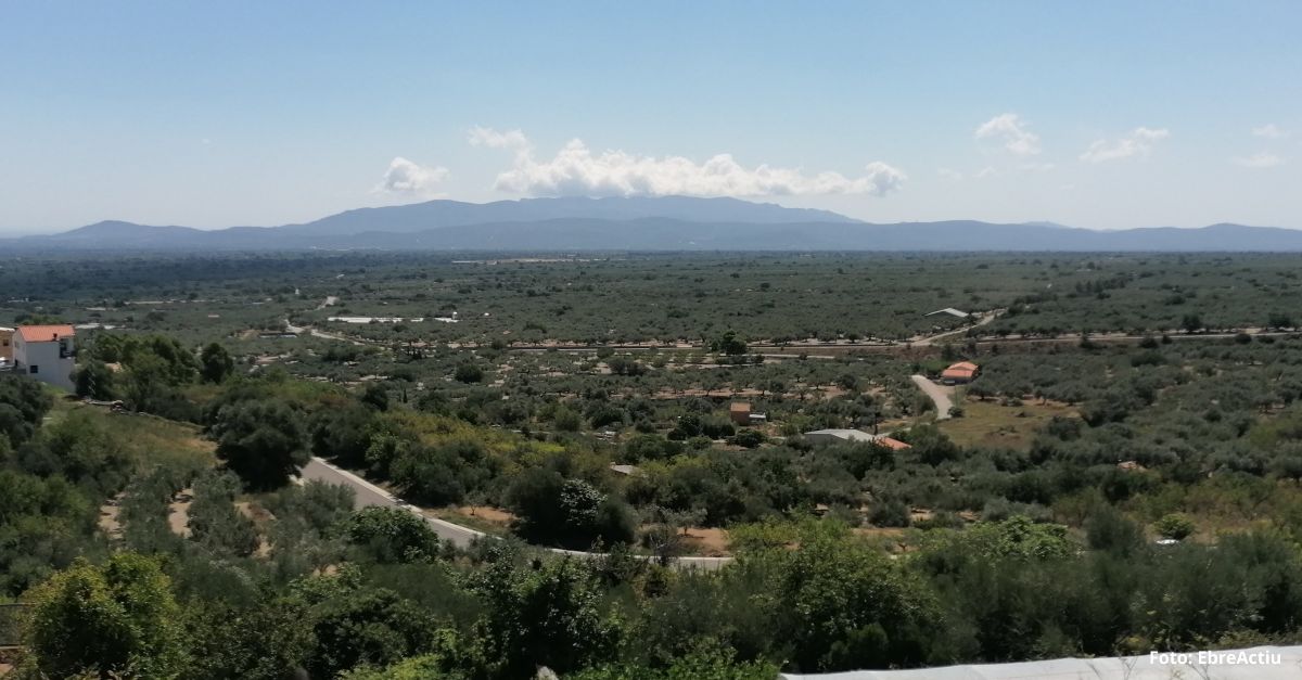 Mas de Barberans, el poble de la pauma | EbreActiu.cat, revista digital d’oci actiu | Terres de l’Ebre ...