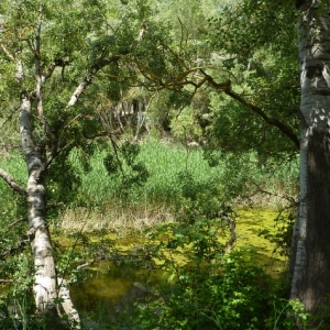 lbum: ruta del meandre de Flix