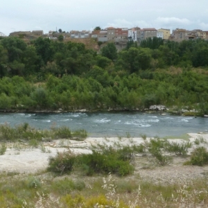 lbum: ruta del meandre de Flix