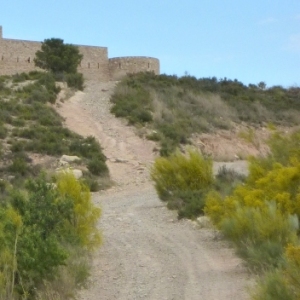 lbum: ruta del meandre de Flix