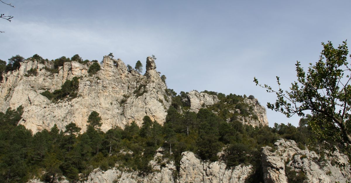 Els espais naturals protegits presenten el seu resum d’actuacions i activitats de l’any 2023 | EbreActiu.cat, revista digital d’oci actiu | Terres de l’Ebre ...