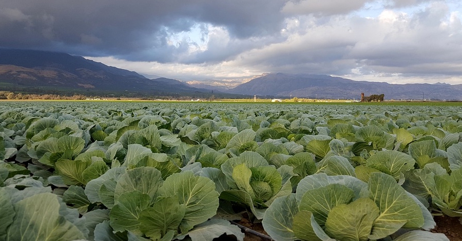 El DARP posa en marxa un projecte pilot de mentoratge professional per a dones del mn rural | EbreActiu.cat, revista digital d’oci actiu | Terres de l’Ebre ...