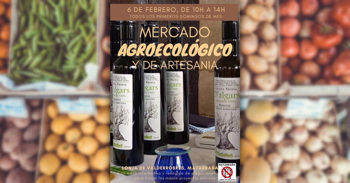 Mercado agroecolgico y de artesana