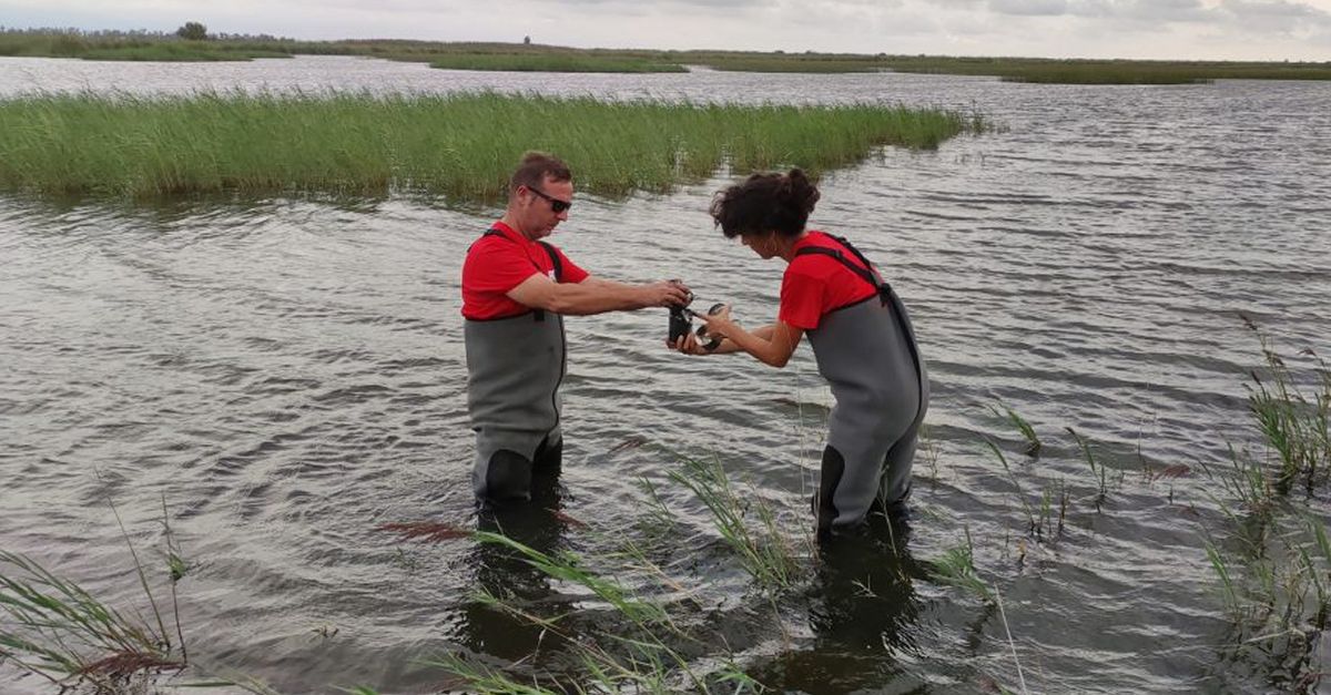 Els microplstics del delta de l’Ebre es mesuraran amb un sistema d’intelligncia artificial | EbreActiu.cat, revista digital d’oci actiu | Terres de l’Ebre ...