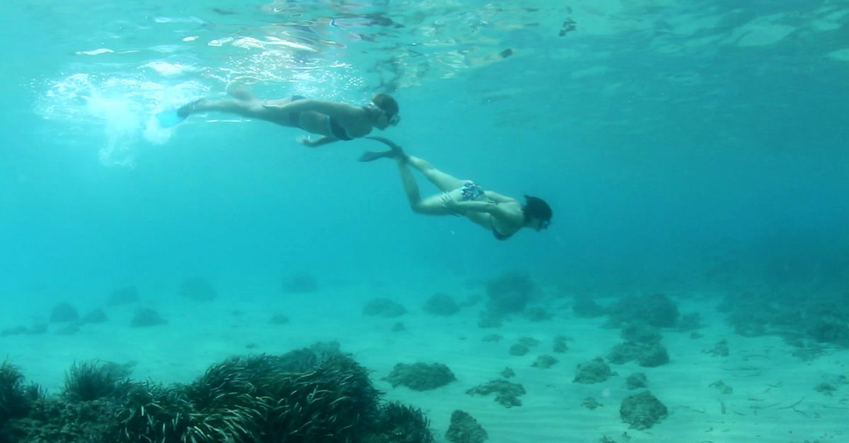 Terres de Mestral, una oferta turstica de mar y montaa | EbreActiu.cat, revista digital de ocio activo | Terres de l’Ebre...