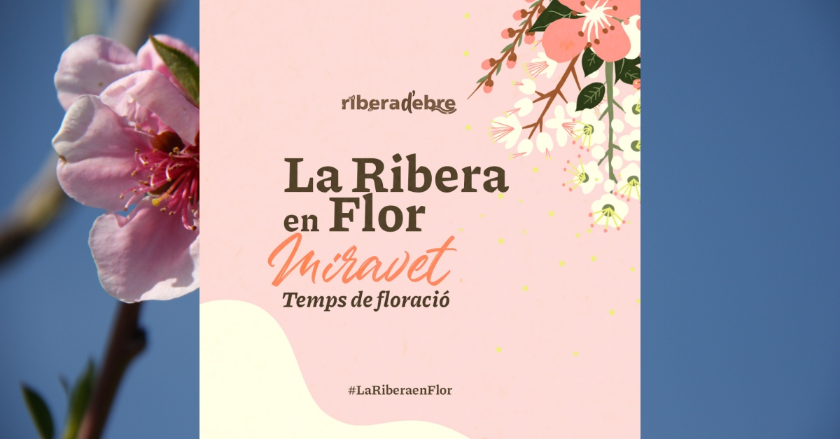 Miravet, tiempo de floracin  #LaRiberaenFlor