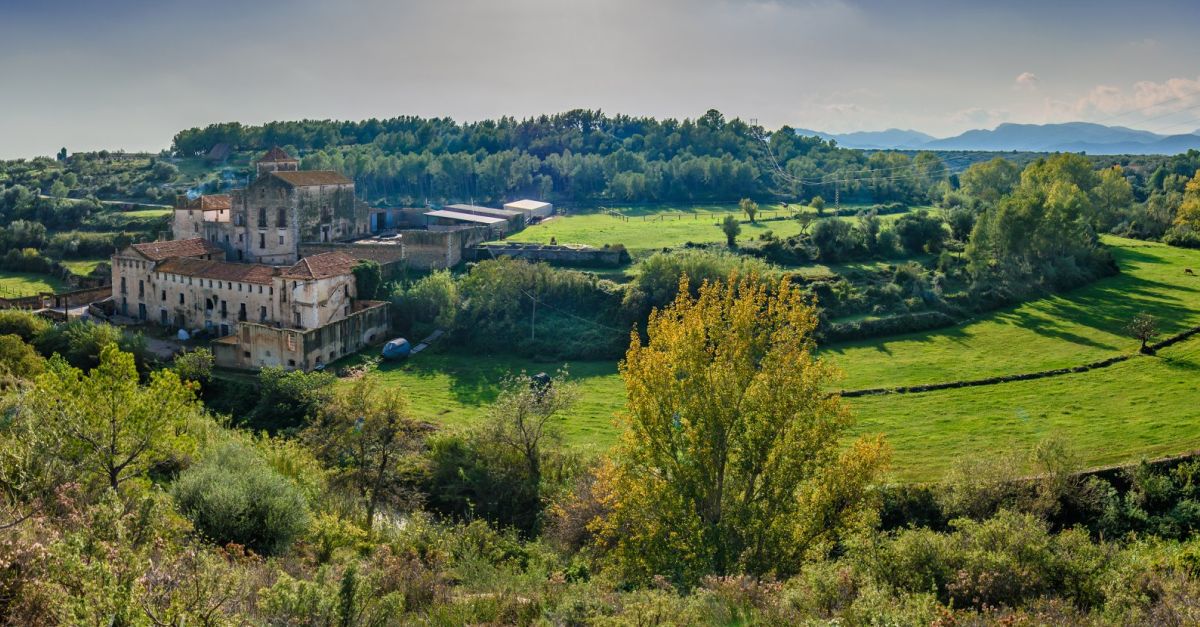 Mol Hospital | EbreActiu.cat, revista digital d’oci actiu | Terres de l’Ebre ...