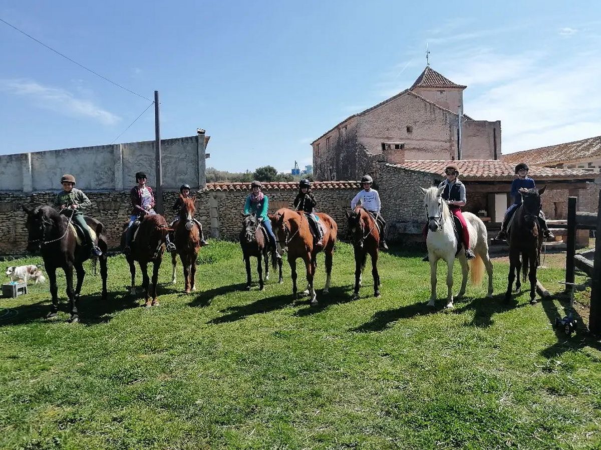 Mol Hospital | EbreActiu.cat, revista digital d’oci actiu | Terres de l’Ebre ...