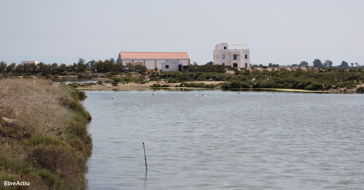 MnNatura Delta de l’Ebre reobre les seves portes el 17 de juliol | EbreActiu.cat, revista digital d’oci actiu | Terres de l’Ebre ...