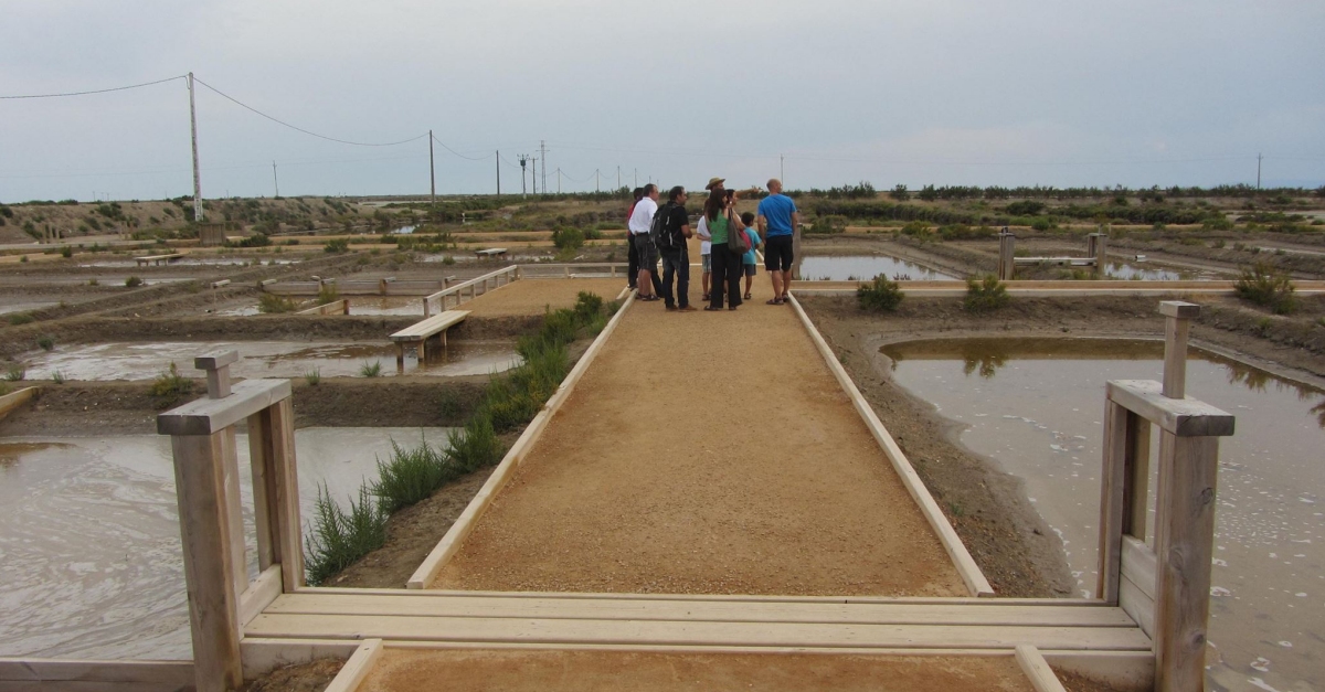 MNNATURA DELTA | EbreActiu.cat, revista digital d’oci actiu | Terres de l’Ebre ...