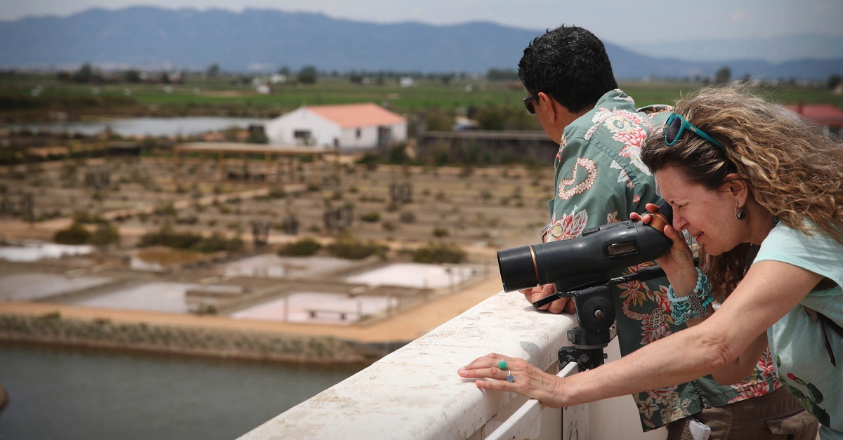 MnNatura Delta engega la desena temporada amb propostes per gaudir en famlia de l’entorn natural | EbreActiu.cat, revista digital d’oci actiu | Terres de l’Ebre ...