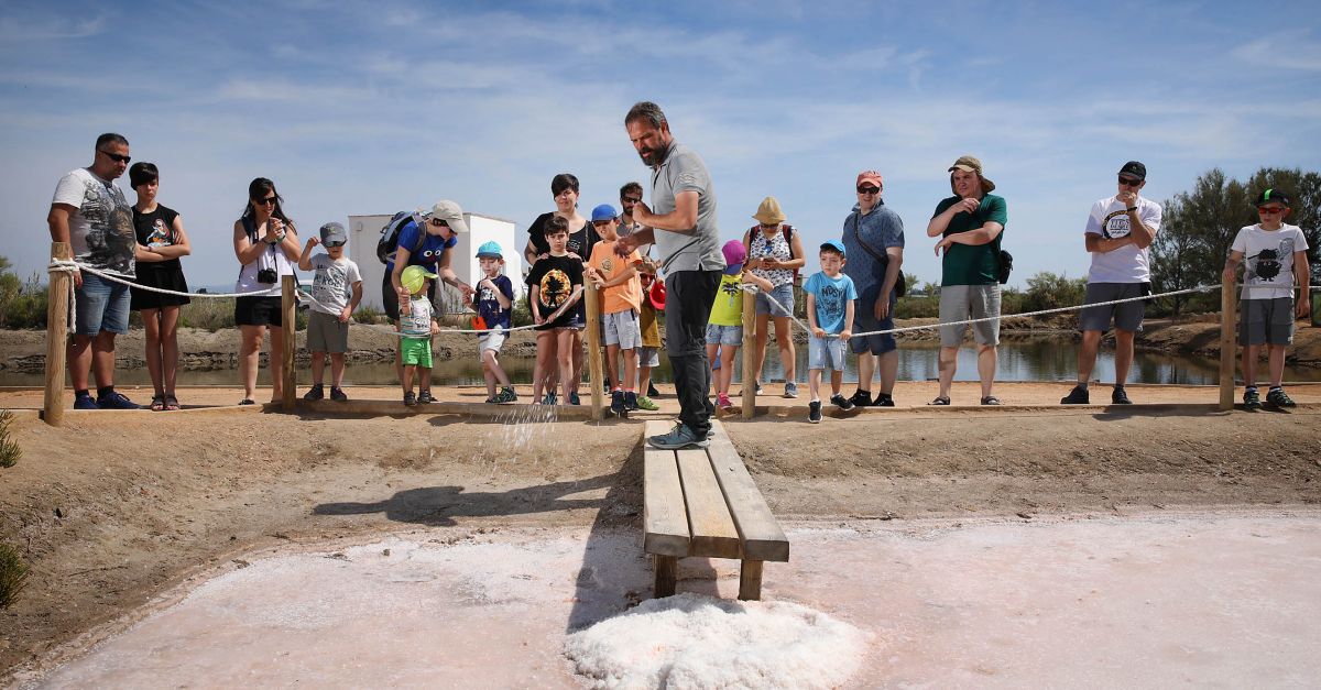 MnNatura Delta de l’Ebre engega la desena temporada amb noves activitats ornitolgiques i familiars | EbreActiu.cat, revista digital d’oci actiu | Terres de l’Ebre ...