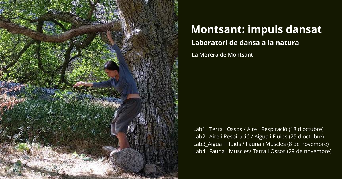 Montsant: impuls dansat. Laboratori de dansa a la natura (I)