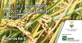 Montsi: Arroz Km 0