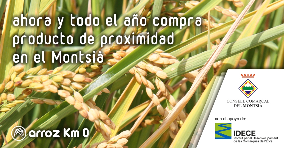 Montsi: Arroz Km 0 | EbreActiu.cat, revista digital de ocio activo | Terres de l’Ebre...