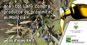 Montsi: Aceite de oliva Km 0