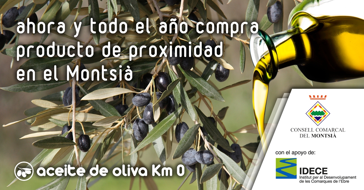 Montsi: Aceite de oliva Km 0 | EbreActiu.cat, revista digital de ocio activo | Terres de l’Ebre...