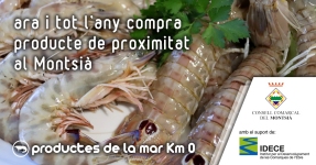 Montsi: Productos del mar Km 0