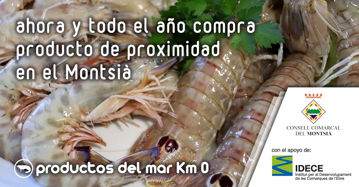 Montsi: Productos del mar Km 0 | EbreActiu.cat, revista digital de ocio activo | Terres de l’Ebre...