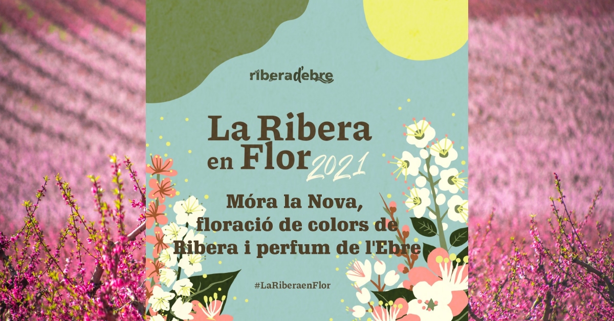 Mra la Nova, floraci de colors de Ribera i perfum de l’Ebre #LaRiberaenFlor