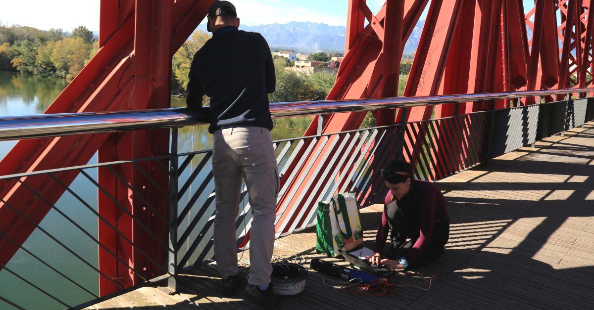 La CHE finalitza la presa de mostres per conixer com ha afectat la sequera al tram baix de l’Ebre | EbreActiu.cat, revista digital d’oci actiu | Terres de l’Ebre ...