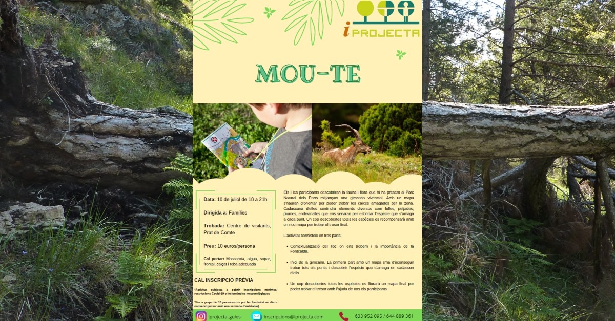 Activitat deducaci ambiental: Mou-te