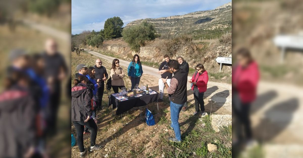 Muntanyes de vi. Ruta guiada amb tast de vins