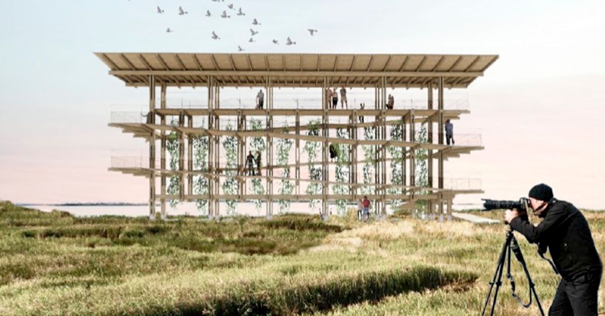 El projecte Musclera Vertical guanya el concurs per dissenyar un nou mirador al Canal Vell del parc natural del delta | EbreActiu.cat, revista digital d’oci actiu | Terres de l’Ebre ...