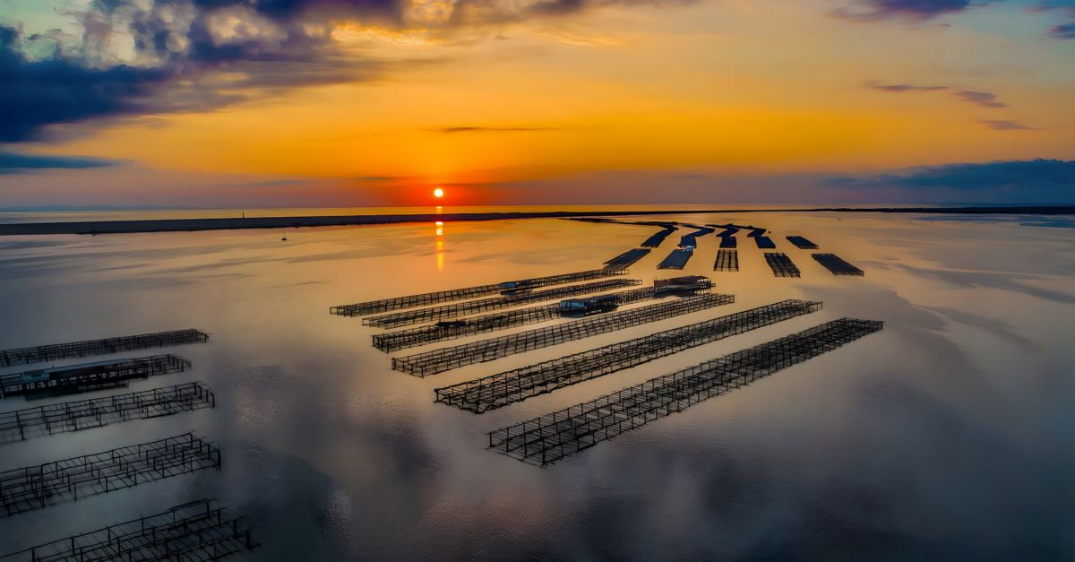 El cicle Albades i vesprades cantades torna al Delta de l’Ebre per rebre el sol cantant enmig del mar | EbreActiu.cat, revista digital d’oci actiu | Terres de l’Ebre ...