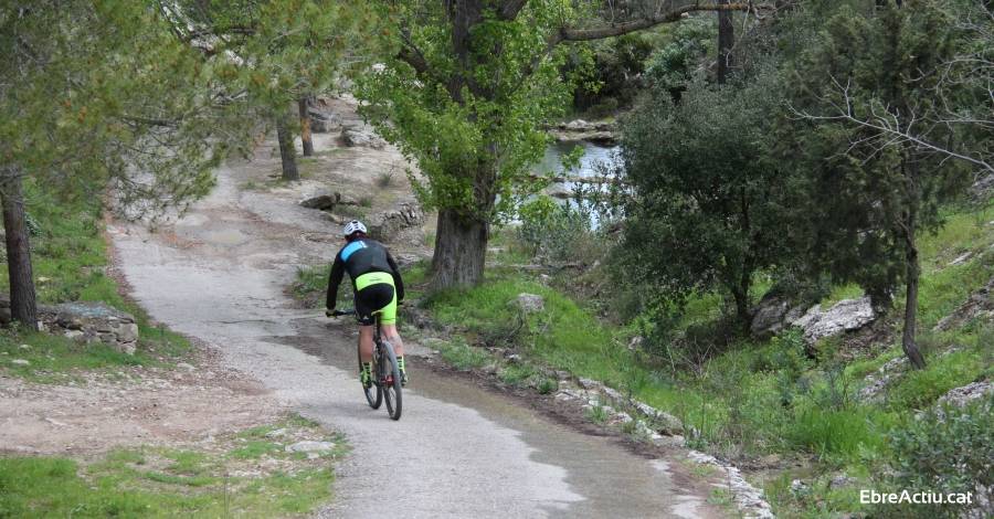 Neix el Rodacamins, la nova proposta per la bicicleta de muntanya | EbreActiu.cat, revista digital d’oci actiu | Terres de l’Ebre ...