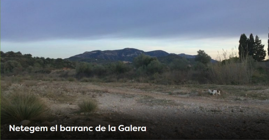 Setmana de la Natura. Limpiemos el barranco de la Galera