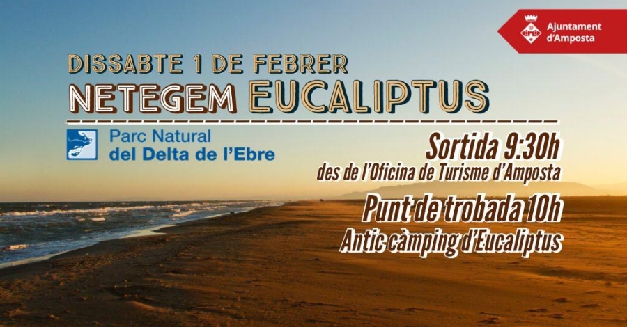 Netegem la platja d’Eucaliptus