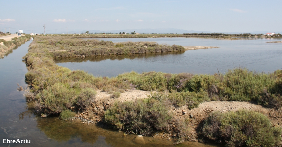 Jornada de neteja de brossa a les antigues salines de Sant Antoni | EbreActiu.cat, revista digital d’oci actiu | Terres de l’Ebre ...