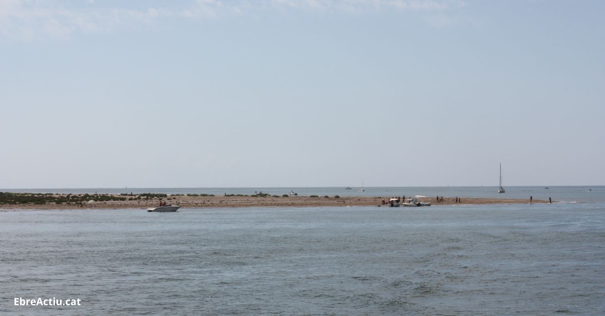 Acci de neteja a la Badia dels Alfacs, en el marc d’una iniciativa de l’Euroregi Pirineus- Mediterrnia durant el World Clean Up Day | EbreActiu.cat, revista digital d’oci actiu | Terres de l’Ebre ...