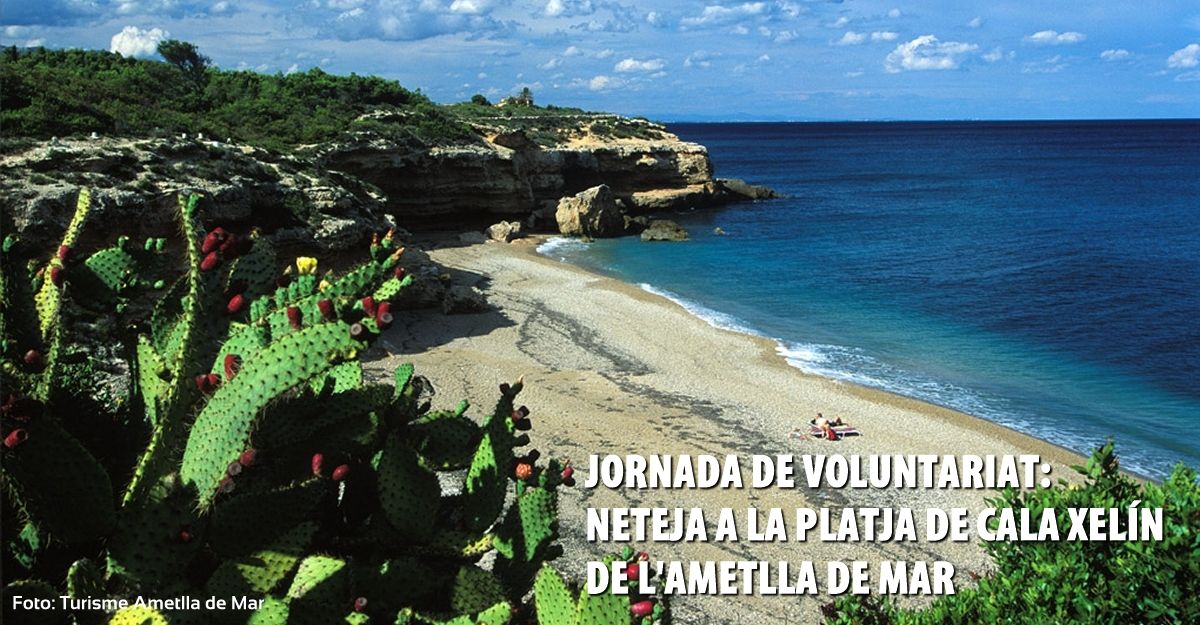 Jornada de limpieza a la playa de Cala Xeln