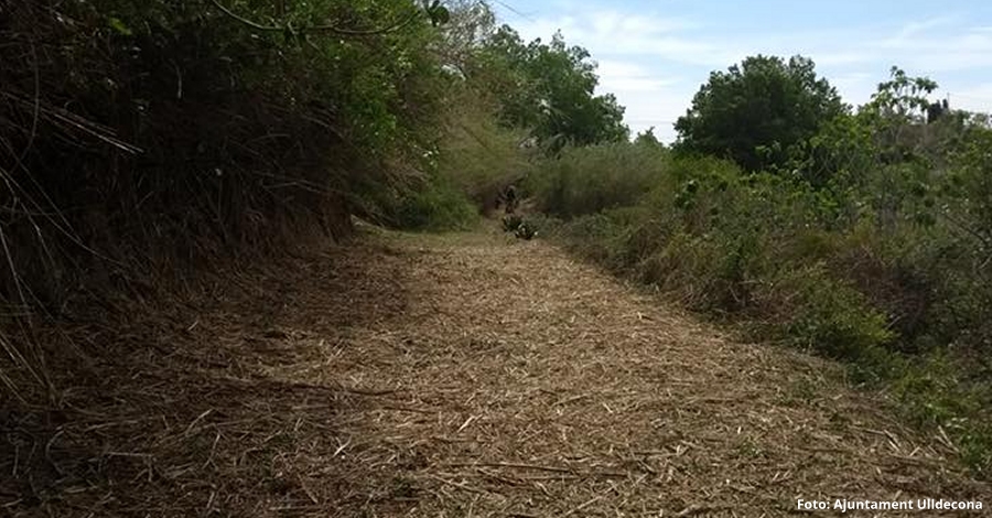 Ulldecona enllesteix l’adequaci i neteja del cam fluvial del riu Snia al pas pel seu terme municipal | EbreActiu.cat, revista digital d’oci actiu | Terres de l’Ebre ...