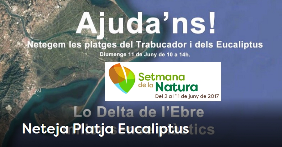 Neteja Platja Eucaliptus