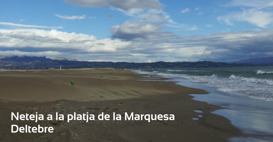 Jornada de limpieza en la playa de la Marquesa